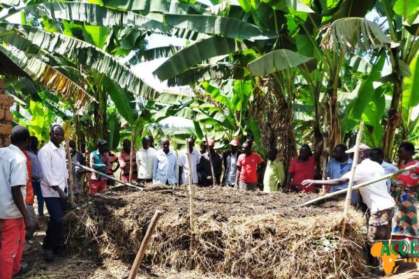 Programme de Transition vers une Agroécologie Paysanne au Service de la Souveraineté Alimentaire, phase 2