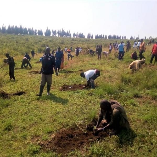 Projet de Restauration et de Résilience du Paysage du Burundi (PRRPB)